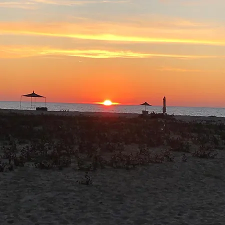 Apartament Pines House