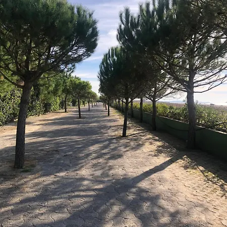 Pines House Apartament