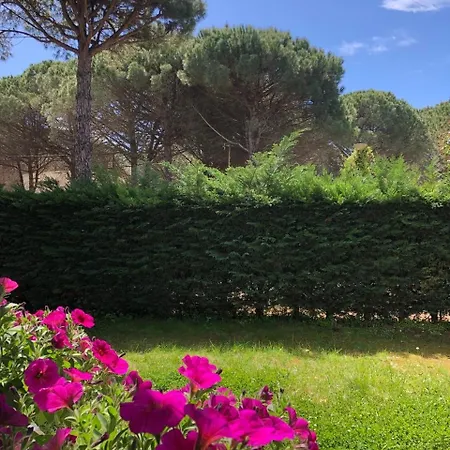 Pines House Apartamento