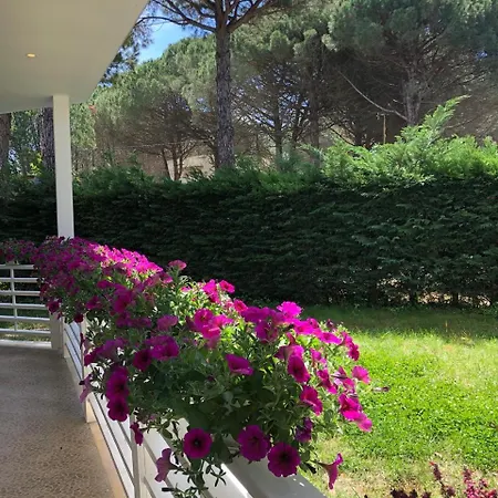 Pines House Dıraç