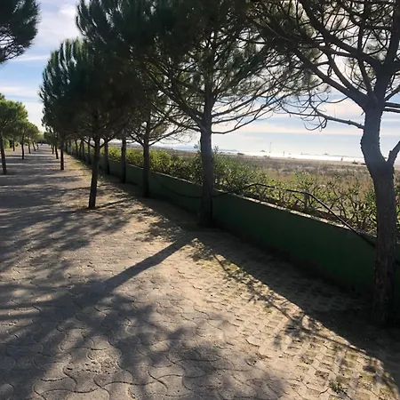 Apartamento Pines House