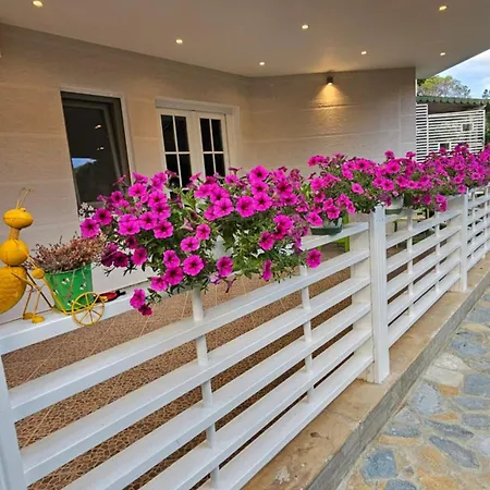 Pines House *
