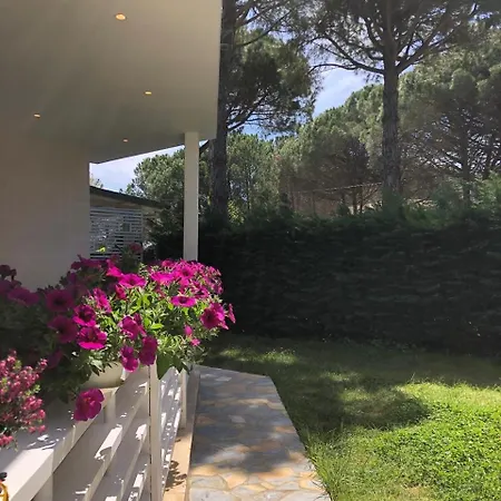 Pines House Apartamento