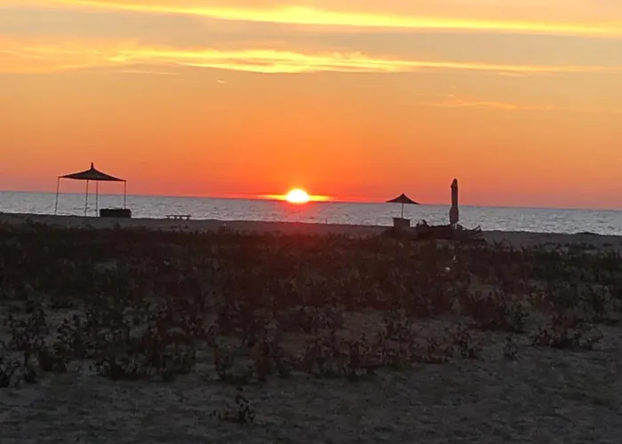 Apartment Pines House