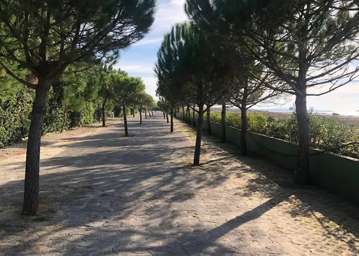 Pines House Apartment